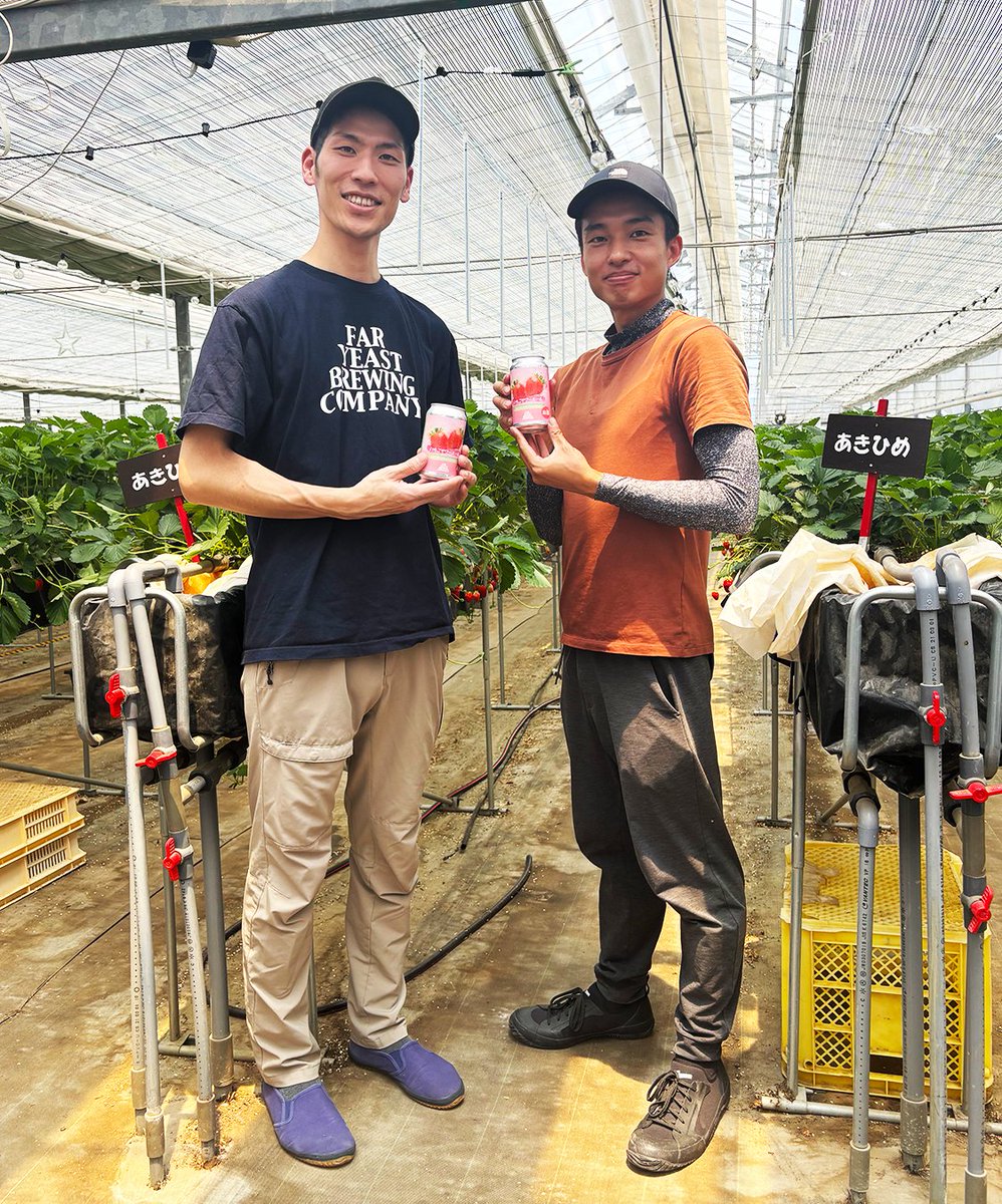 🍻New Release
＼🍻Far Yeast いちごサワーエール／
山梨県南アルプス市の🍓いちご農園「アグベリー」にて収穫された生のイチゴを贅沢に投入！
faryeast.com/news/24924/

#いちご農園アグベリー #アグベリー #いちごのビール #イチゴのビール #苺のビール #フルーツビール #ファーイーストブルーイング