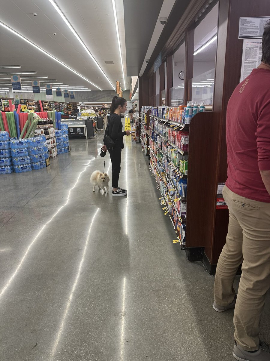 ☠︎✪ michael halloran ☯︎☠︎ (@radiohalloran) on Twitter photo hello <a href="/GroceryVons/">Vons Grocery Store</a>
3 security guards in the mission hills SD store. one on his mobile checking his socials, the other 2 failed massively in enforcement of the NO pets allowed. when you spruced up the store from vons to pavilions, the dogs seems to be multiplying. make it 🛑 hello <a href="/GroceryVons/">Vons Grocery Store</a>
3 security guards in the mission hills SD store. one on his mobile checking his socials, the other 2 failed massively in enforcement of the NO pets allowed. when you spruced up the store from vons to pavilions, the dogs seems to be multiplying. make it 🛑