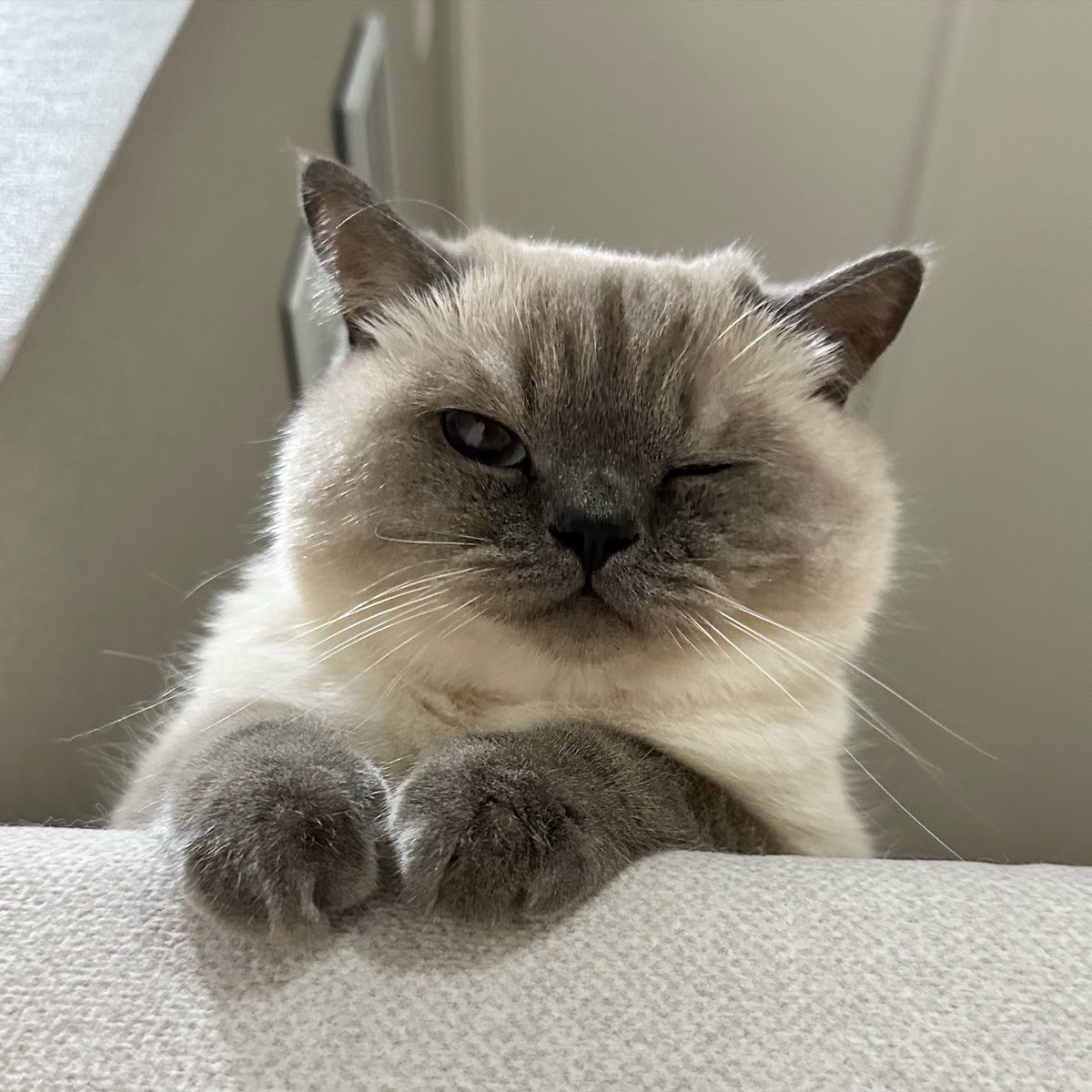 M13_Love1's tweet image. 🎧☕️ Good Morning, 

#OneThought📧