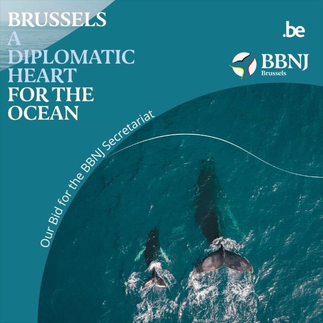 Today, Belgium 🇧🇪 ratified the #BBNJ Treaty and Brussels is ready to lead, offering the BBNJ its ❤️ and a home. 

From day one, we stand prepared to host the Secretariat in a world-class hub where science and diplomacy unite to protect our ocean. 🐳🌊🌐

 #BrusselsForBBNJ