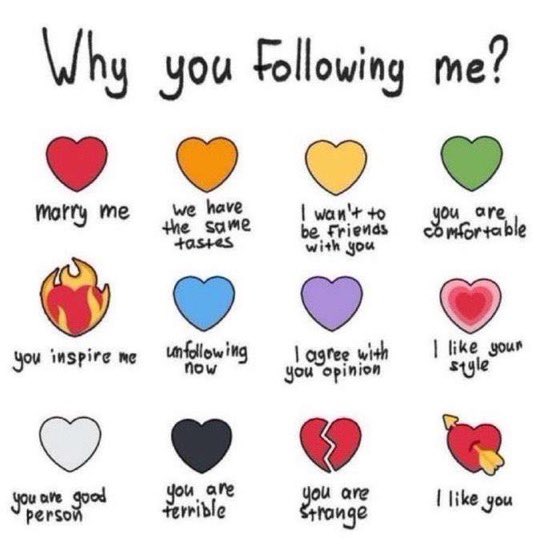 Calvaria Rose ๐๐น (@calvariarose) on Twitter photo Why do you follow dis Rockstar? ๐ Why do you follow dis Rockstar? ๐
