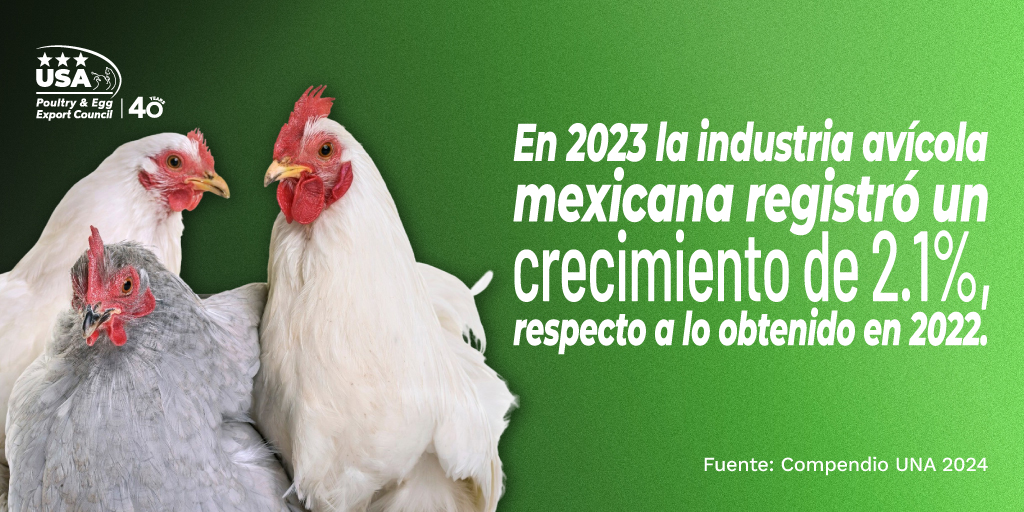 La industria avícola ha registrado un crecimiento notorio.
#Industria #Avicola #Pollo #Noticias #Noticia