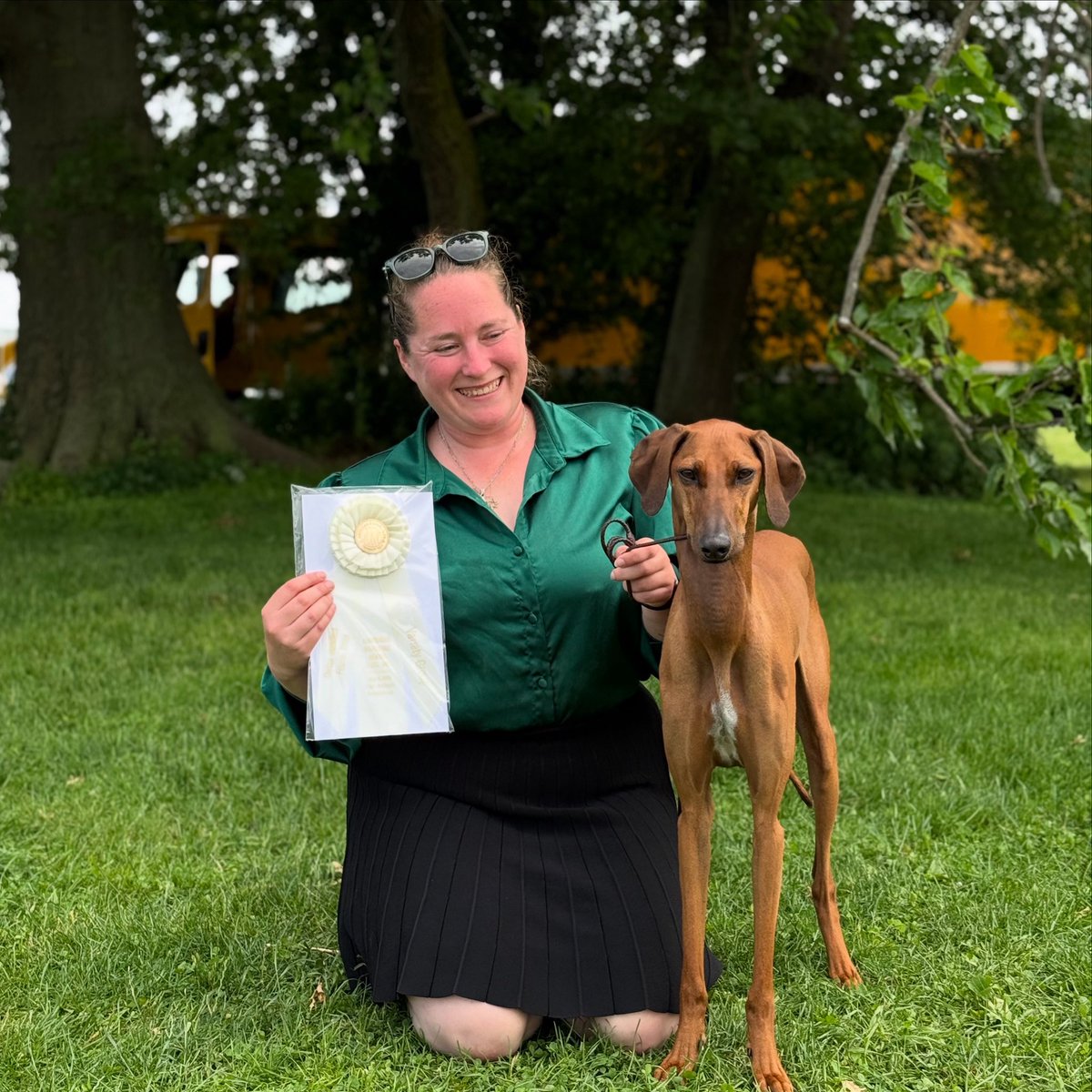 TwoMares's tweet image. Just wait until y’all see the ringsides from this weekend. OH group 4 for the baby dog after a nothing weekend last weekend. Let’s see what happens next weekend!