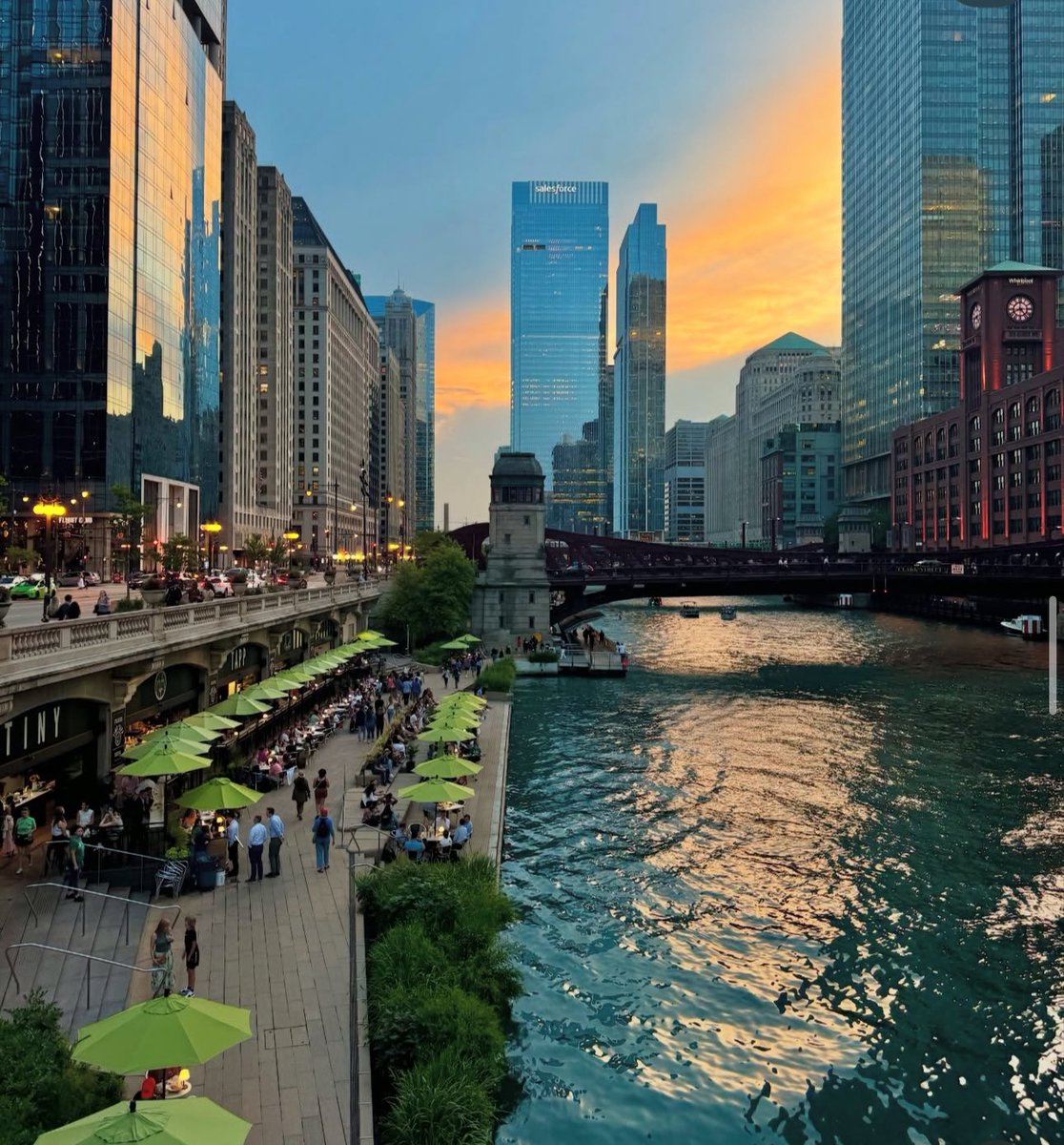 Caitlin Cook tweet media