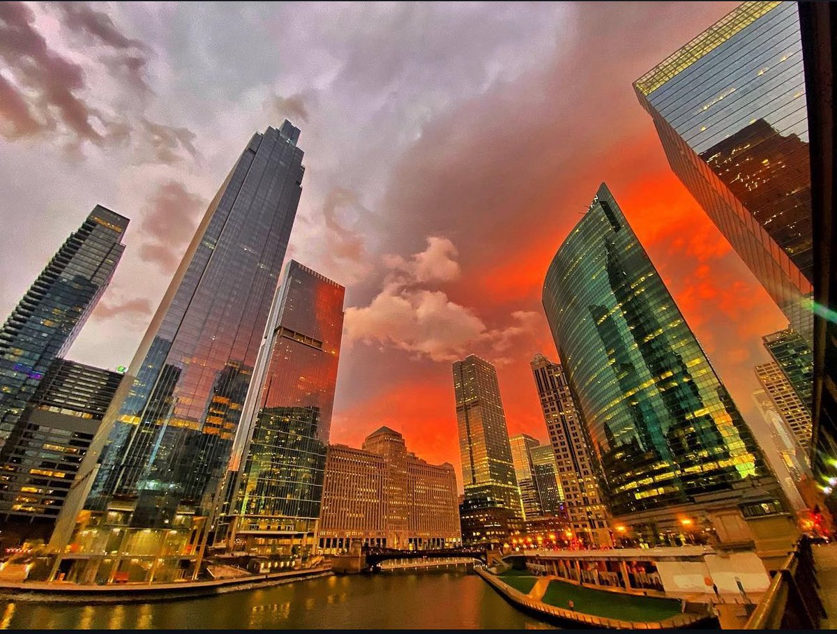 Caitlin Cook tweet media