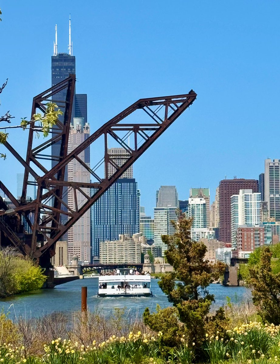 Caitlin Cook tweet media