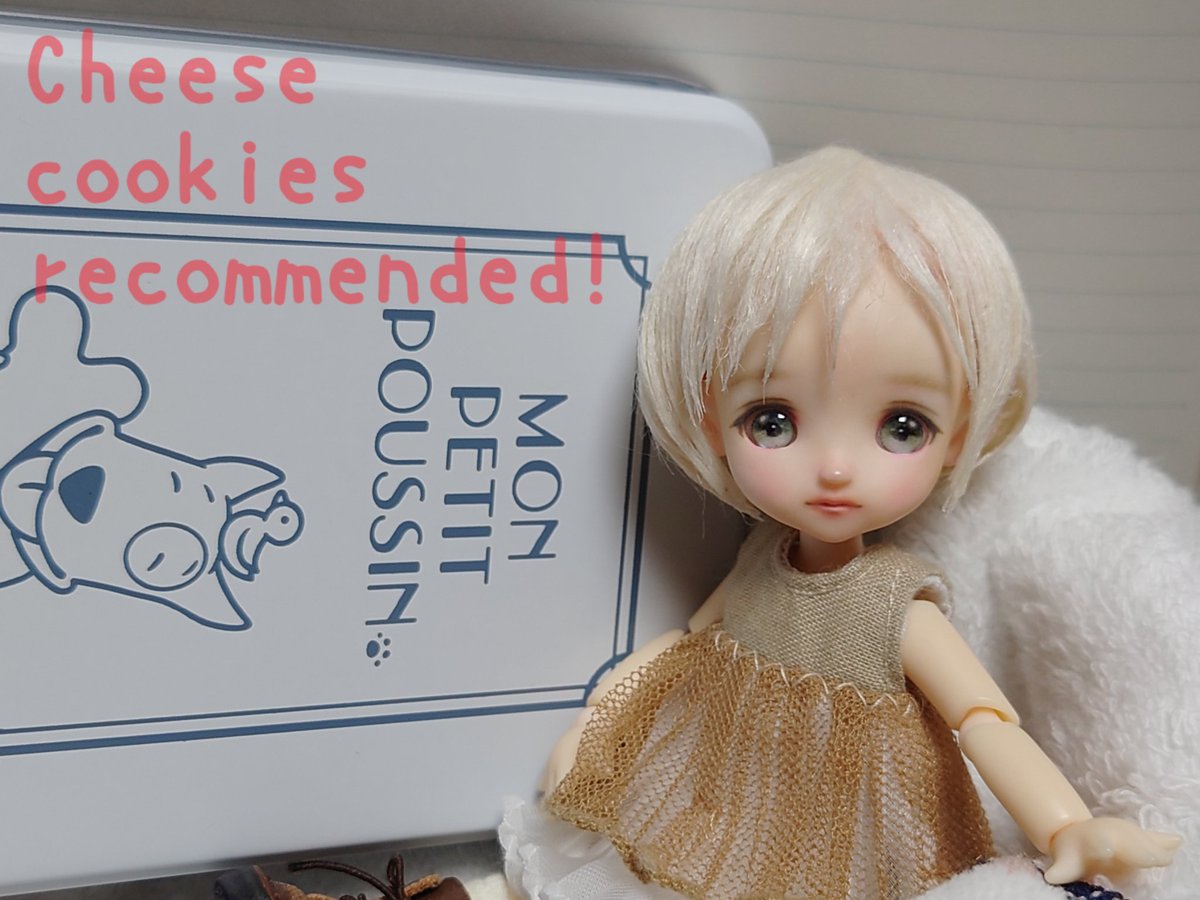 inko_bakery's tweet image. この子とあの子にお揃いのウィッグを作りたい・・・
の前に、いい加減にお洋服を新調したい・・・

お休み用に丁度いいサイズの缶は見つかりました。
（モンプティプッサンのチーズクッキー、おいしかったです♪）
#larimarヘッド
#モンプティプッサン