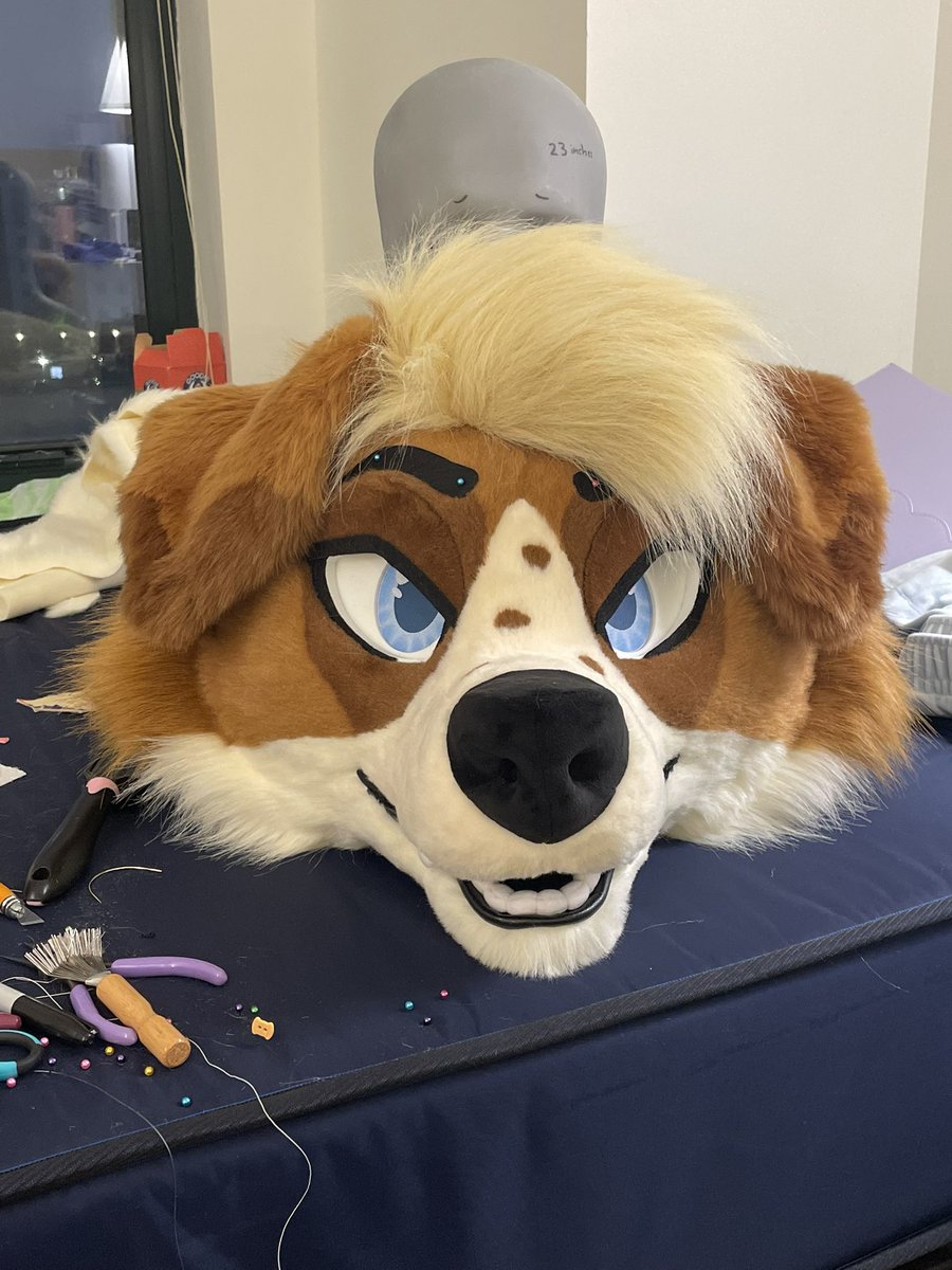 Callie!🔜 FD!! tweet media