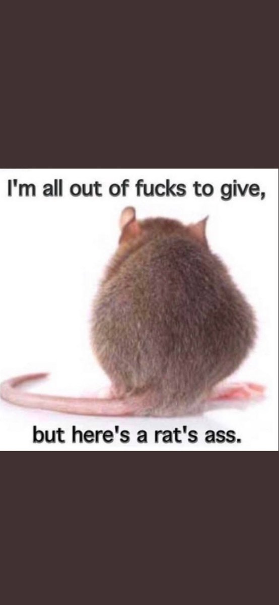 Live and let live tweet media