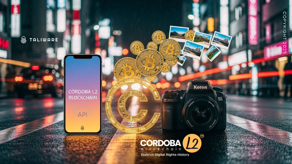 tarik TALI tweet media