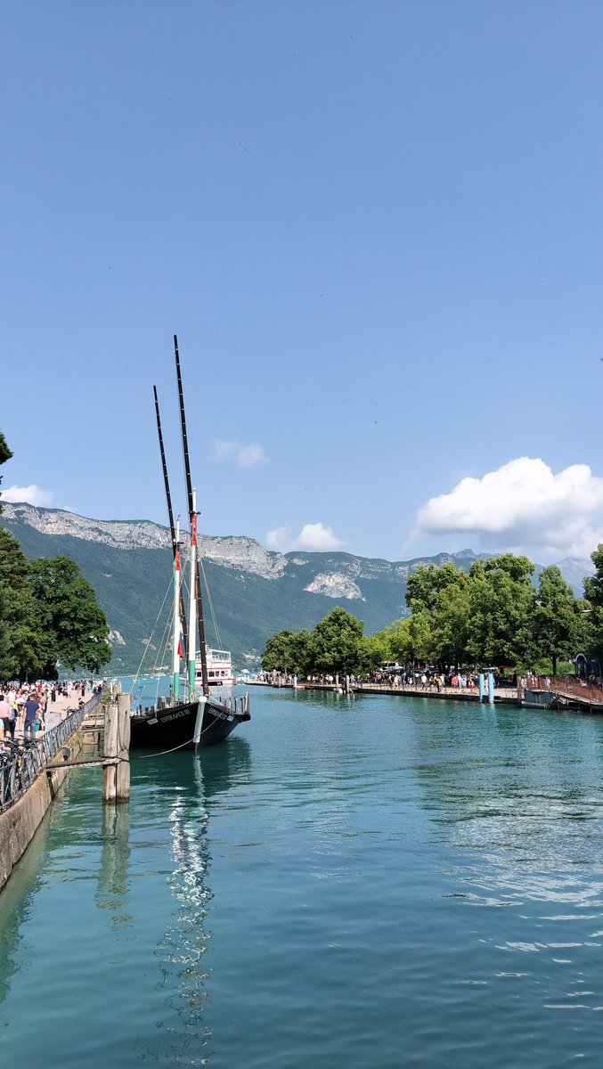 生さんま tweet media