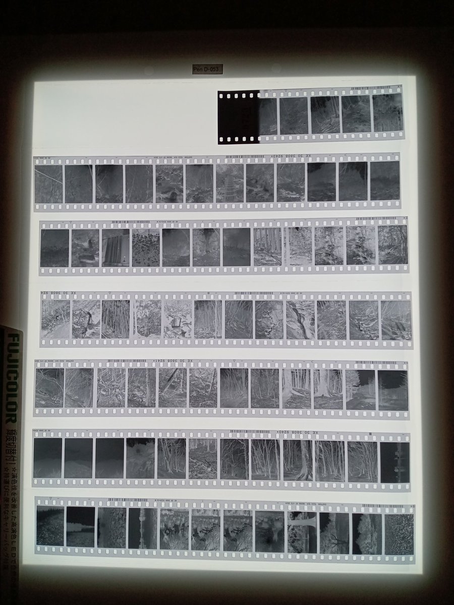 hide_c_life's tweet photo. ハーフサイズもいいぞ。

#Olympus
#PenD
#KODAK
#DoubleX https://t.co/XdtXyVxHHi