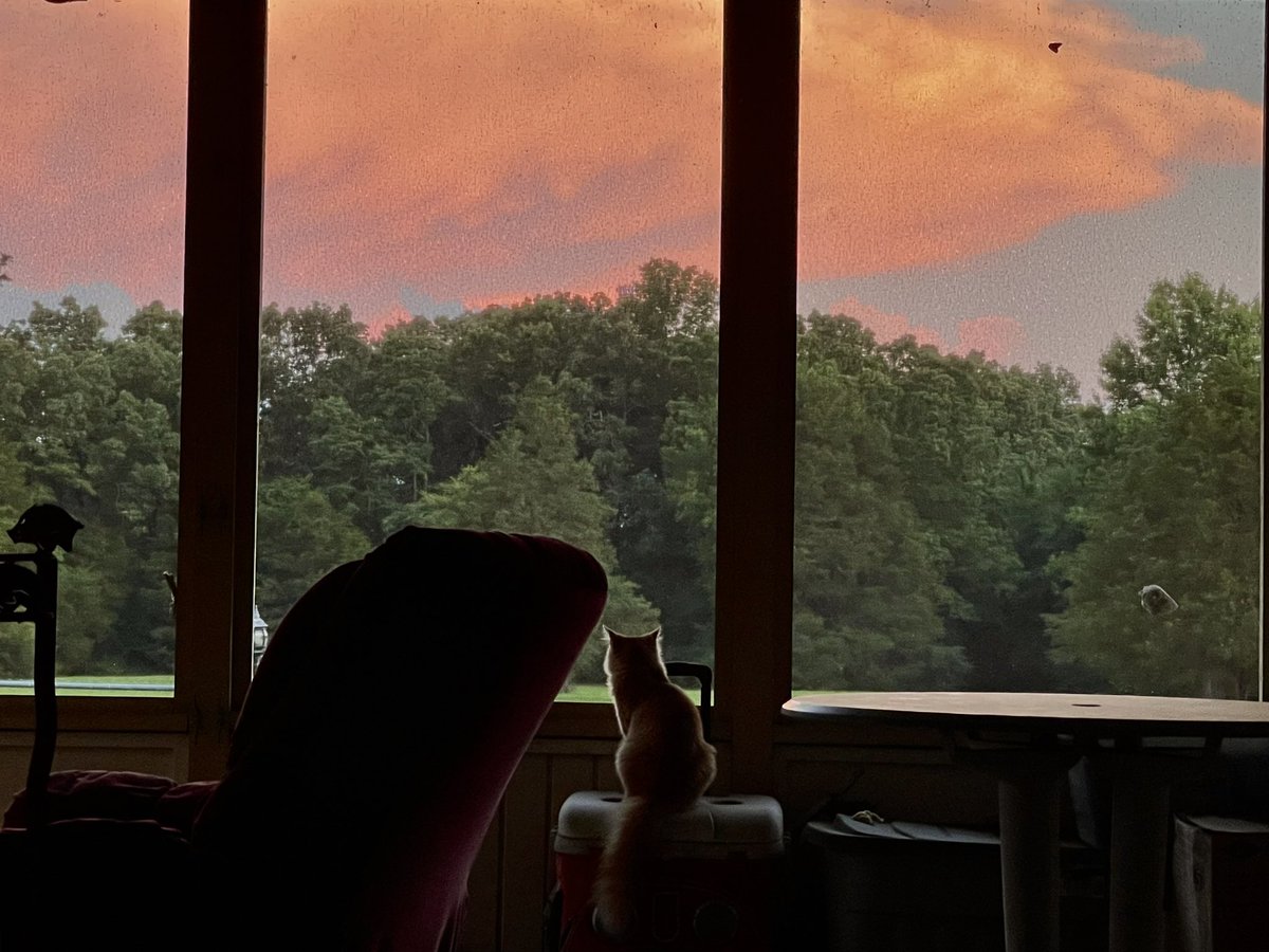 Misty I. (@misty186) on Twitter photo Sitting out back, with my cat Simba, watching the storm clouds change into all sorts of beautiful colors.. <a href="/ToddYakoubian/">Todd Yakoubian</a> <a href="/joel_off_air/">Joel Young, CBM</a> <a href="/ChrisPipkinWx/">Christopher Pipkin</a> #arwx Sitting out back, with my cat Simba, watching the storm clouds change into all sorts of beautiful colors.. <a href="/ToddYakoubian/">Todd Yakoubian</a> <a href="/joel_off_air/">Joel Young, CBM</a> <a href="/ChrisPipkinWx/">Christopher Pipkin</a> #arwx
