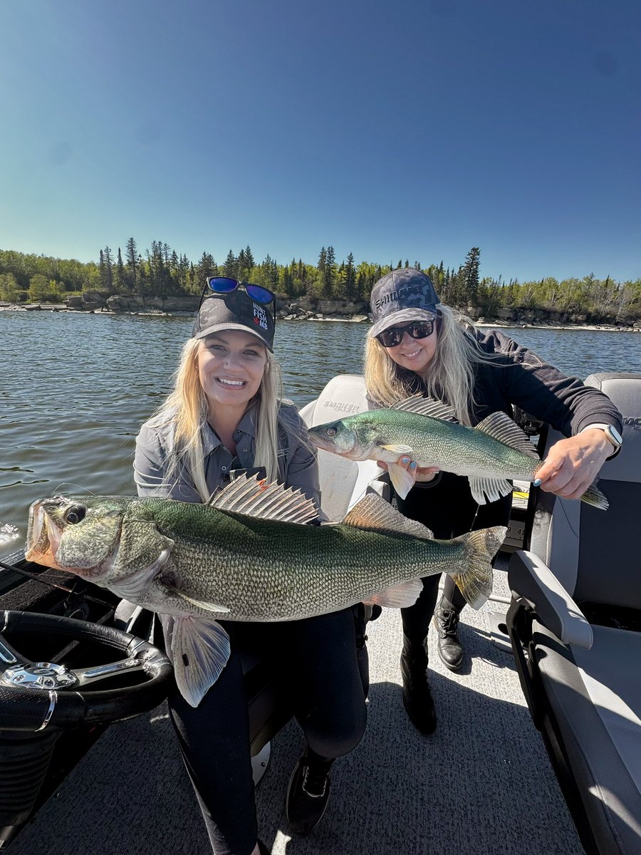 The BEST walleye fishing destination. Full video from Hecla, Manitoba: youtu.be/HmbZ6hX6v-M?si…

So many fish 24/25 +