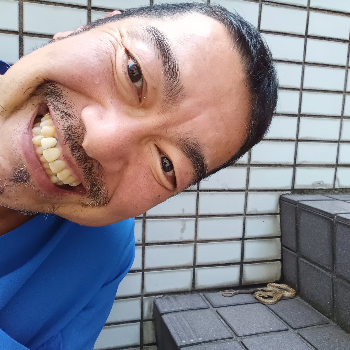 地方都市で歯科診療のバイトをしています。

バイト先の医院の前にヘビがいました。

ヘビは縁起が良い生き物なので、このXをご覧になった皆様のご多幸を呼ぶこと請け合いでございます。

本日も良き一日を。

#pr666