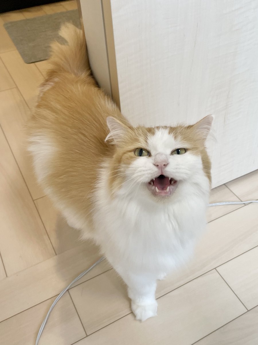 おはよう✨