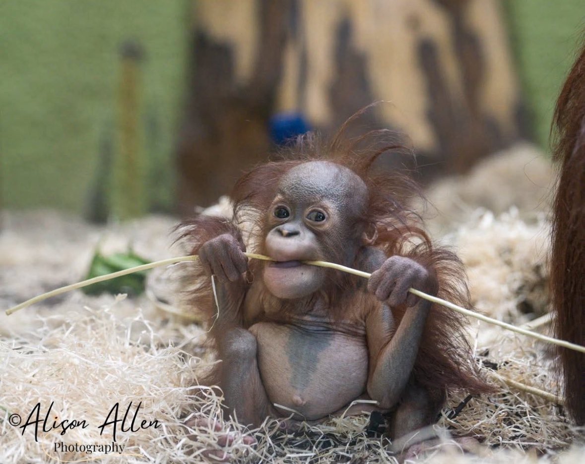 grahkayyy's tweet image. feeling #fruity