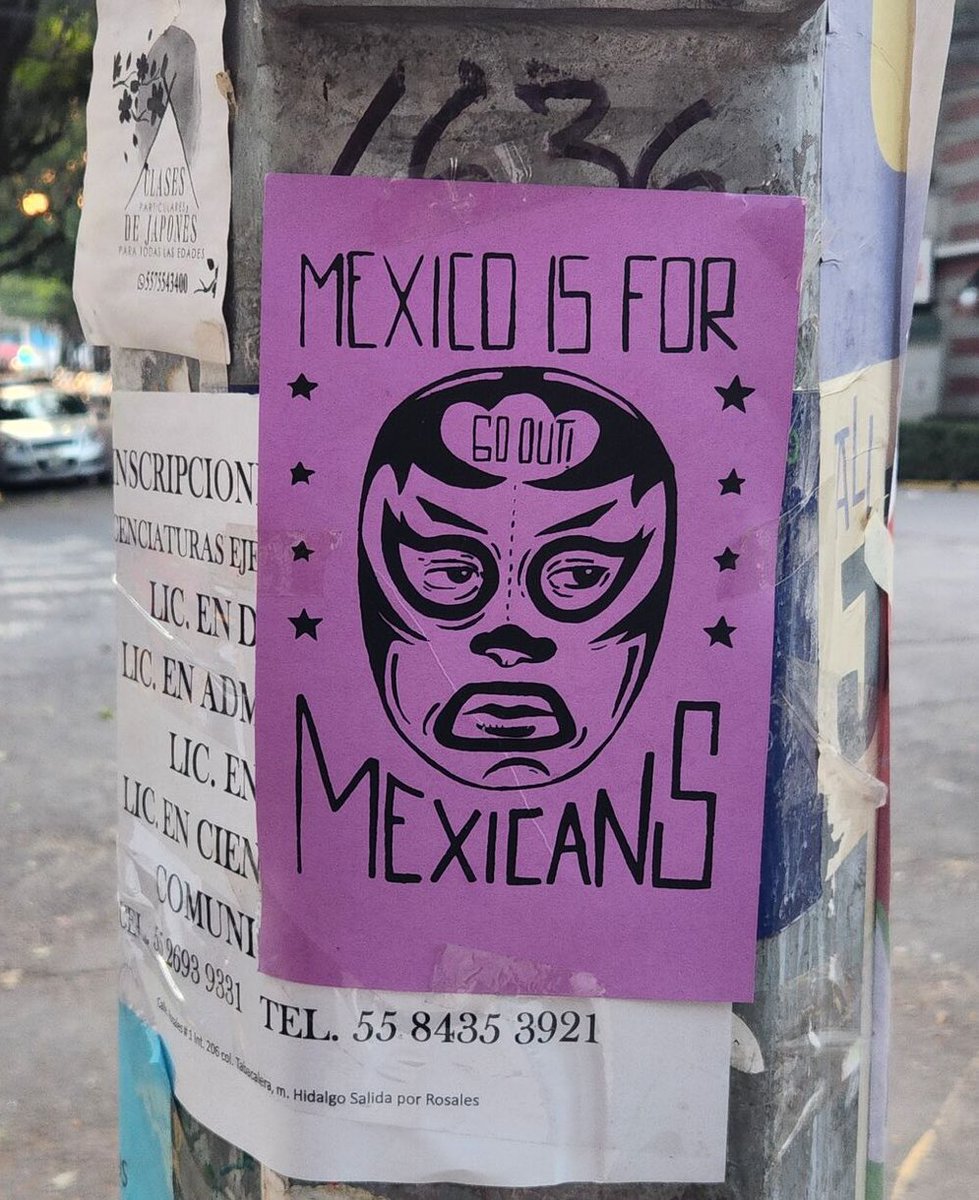 Slatzism's tweet photo. it’s so funny to contrast how Mexicans in the US are protesting against deportations while Mexicans in Mexico have been revolting against their own economic migrants and want them all deported.

you can’t go anywhere in Mexico City without seeing posters like these https://t.co/ILmWX6ZW31
