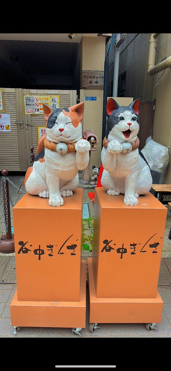 HufflepuffMagic's tweet image. 