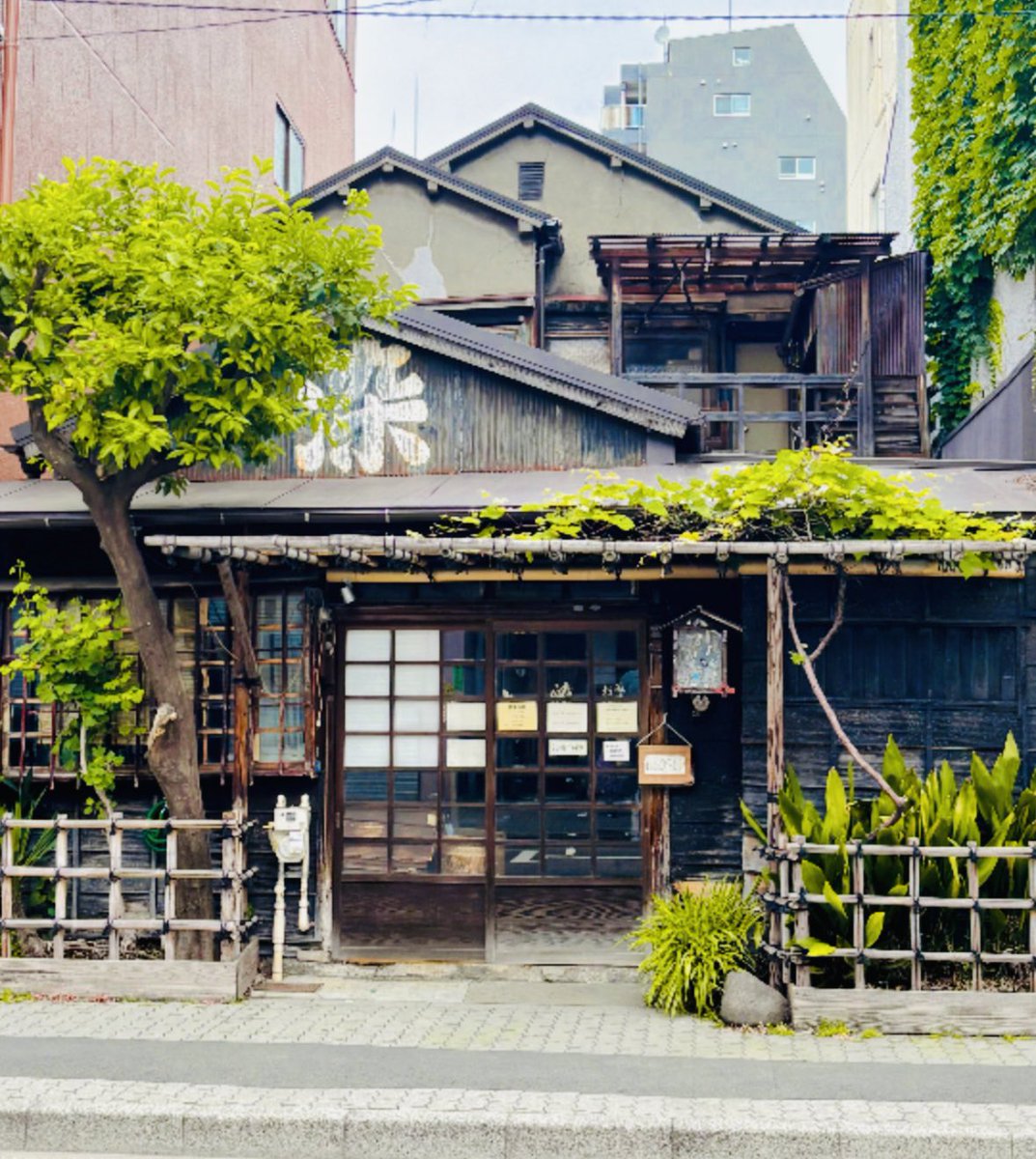 HufflepuffMagic's tweet image. 