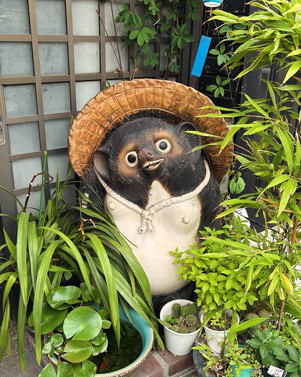 HufflepuffMagic's tweet image. 