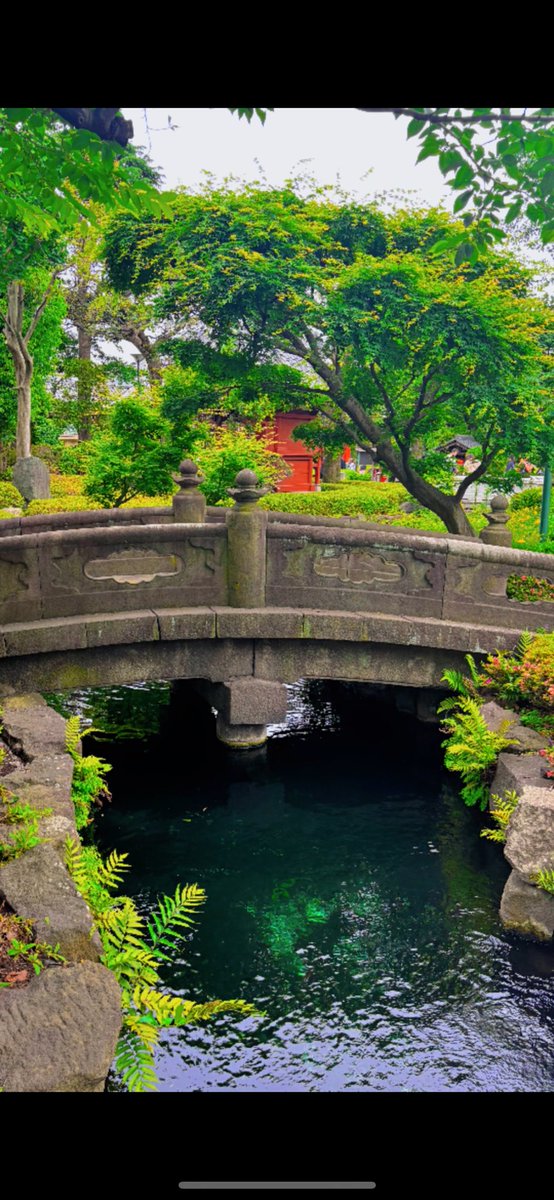 HufflepuffMagic's tweet image. 