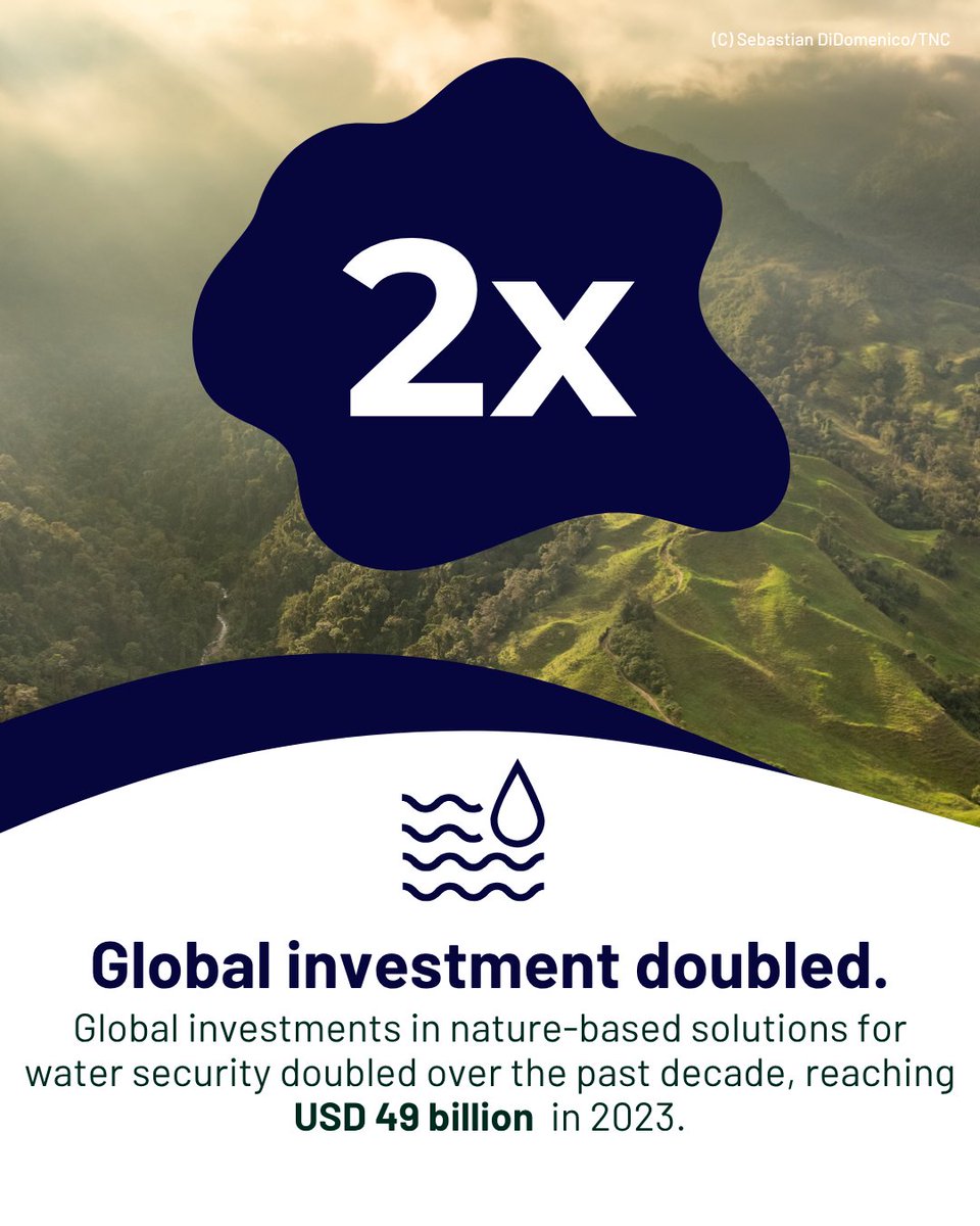 Forest Trends tweet media