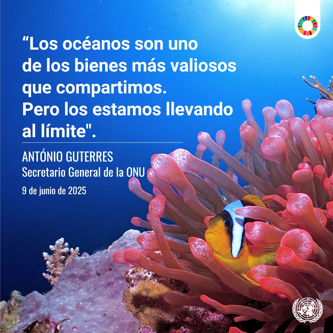 Naciones Unidas (@onu_es) on Twitter photo “Tenemos la oportunidad de recuperar la abundancia de los océanos”.
Frente a amenazas crecientes como la sobreexplotación, la pesca ilegal, la contaminación por plásticos y las emisiones de carbono, <a href="/antonioguterres/">António Guterres</a> hace un llamado a los países para tomar medidas y “Tenemos la oportunidad de recuperar la abundancia de los océanos”.
Frente a amenazas crecientes como la sobreexplotación, la pesca ilegal, la contaminación por plásticos y las emisiones de carbono, <a href="/antonioguterres/">António Guterres</a> hace un llamado a los países para tomar medidas y