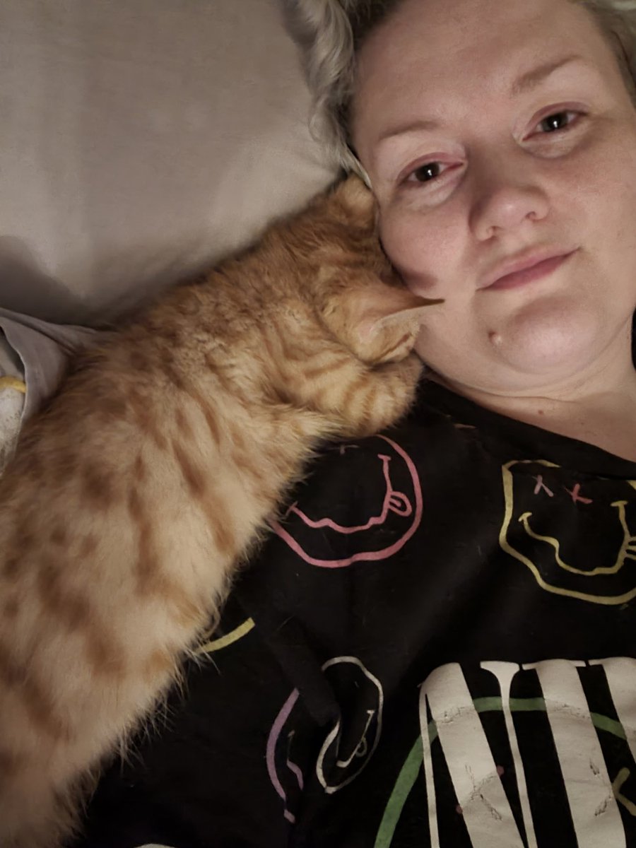 I've decided this human is pretty chill to hang out with...