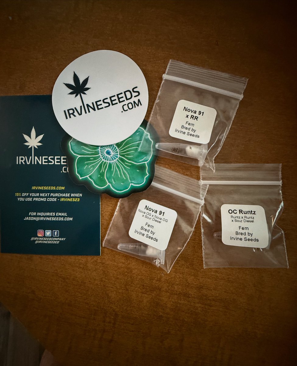 OGBestBudz's tweet photo. I’m back in the dirt. 🌱
Nova 91, OC Runtz, and some RR heat courtesy of @irvineseedco @breeder_j 🔥
The comeback grow is official. Let’s see what these genetics really do. 💨
#GrowersOnly #Nova91 #OCruntz #HomeGrow #CannabisCommunity #IrvineSeeds #GrowLife #BackToMyRoots https://t.co/oLRvl441r9