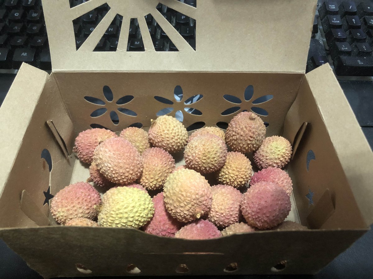 GadeliVT's tweet photo. Warning: Do not eat lychee seeds or unripe lychee. Lychee do not continue to ripen after being picked, and should only be eaten when fully red and ripe, due to the toxin hypoglycin A. @misfitsmarket sold yellow, unripe lychee this past week, which are not safe to eat. https://t.co/kLtSslSFDh