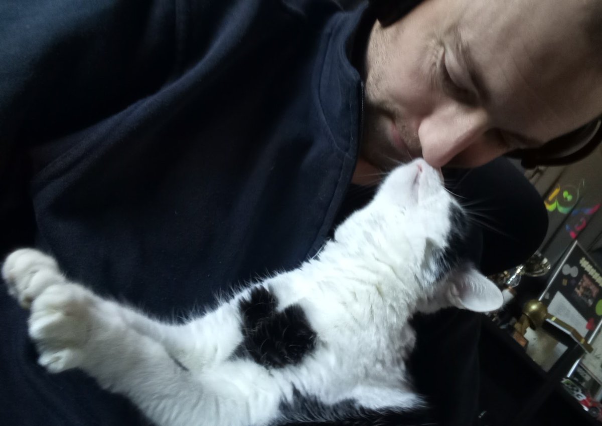LiNUS 🌙 🇸🇪 tweet media