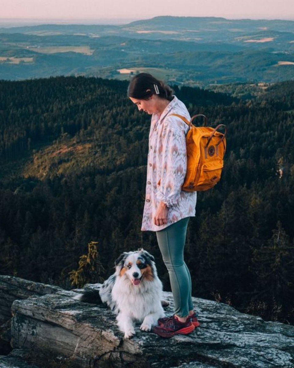 CarniloveTR's tweet photo. 🌲 Doğada biz varız.
🎒 Sırtımızda güven, yanımızda dostumuz.
🐾 Carnilove’la çıktığımız her yol, içgüdülerimize daha yakın.
Yol nereye, biz oraya.

🌍 Out here, it's just us and the wild.
🎒 Trust on our backs, loyalty by our side.
🐺 Every step with Carnilove brings us closer to instinct.
Where the path goes, we follow.

#Carnilove #CarniloveTurkey #LidyaPet #IntoTheWild #OutdoorDog #AdventureDog #WildernessVibes #HikingWithDogs #PetExplorers #KampArkadaşı #DoğaRuhu #CarniloveSnack #KöpeğimleKeşifte