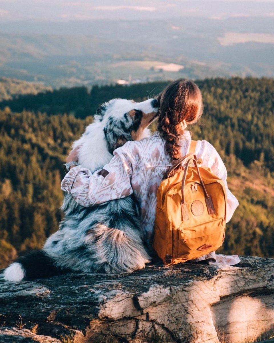 CarniloveTR's tweet photo. 🌲 Doğada biz varız.
🎒 Sırtımızda güven, yanımızda dostumuz.
🐾 Carnilove’la çıktığımız her yol, içgüdülerimize daha yakın.
Yol nereye, biz oraya.

🌍 Out here, it's just us and the wild.
🎒 Trust on our backs, loyalty by our side.
🐺 Every step with Carnilove brings us closer to instinct.
Where the path goes, we follow.

#Carnilove #CarniloveTurkey #LidyaPet #IntoTheWild #OutdoorDog #AdventureDog #WildernessVibes #HikingWithDogs #PetExplorers #KampArkadaşı #DoğaRuhu #CarniloveSnack #KöpeğimleKeşifte