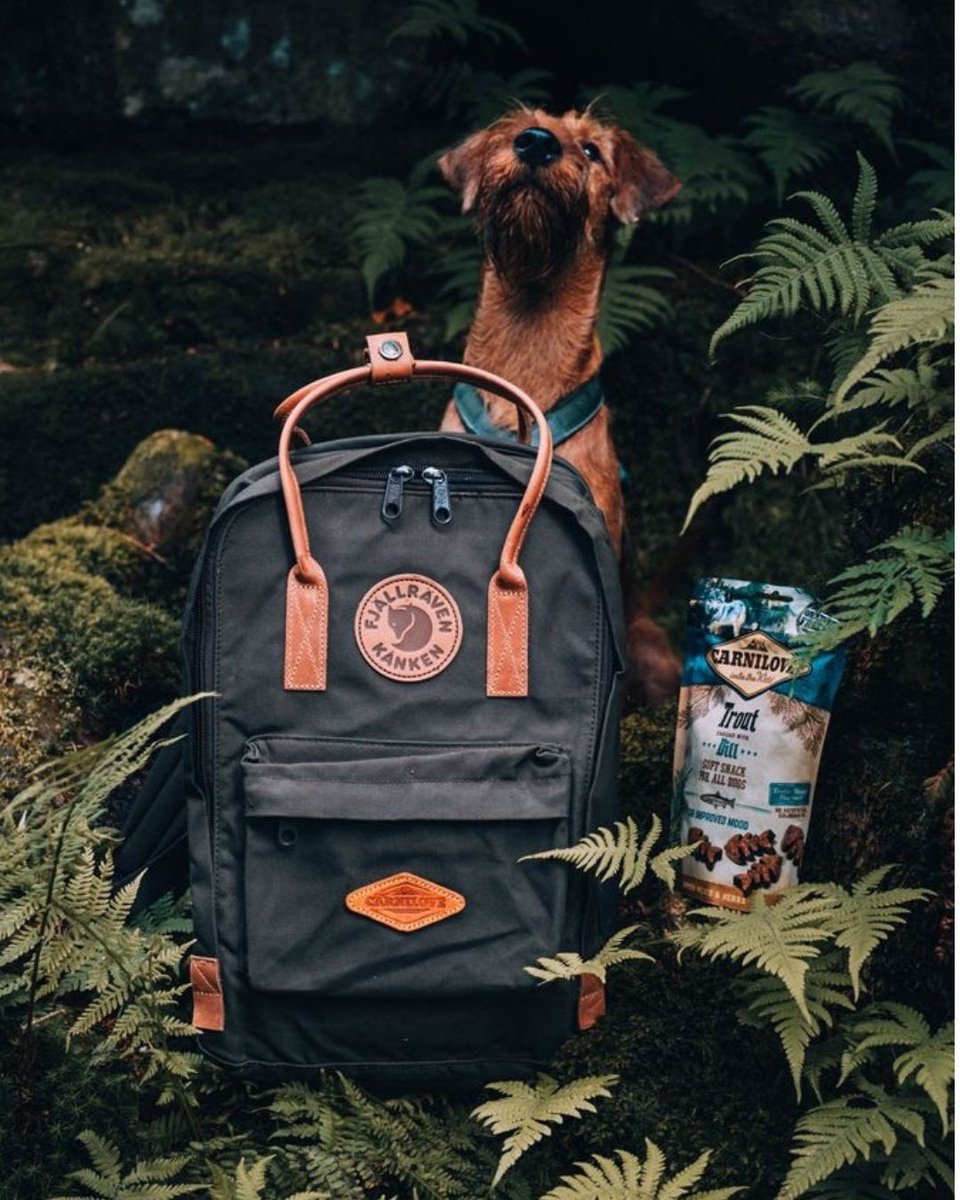 CarniloveTR's tweet photo. 🌲 Doğada biz varız.
🎒 Sırtımızda güven, yanımızda dostumuz.
🐾 Carnilove’la çıktığımız her yol, içgüdülerimize daha yakın.
Yol nereye, biz oraya.

🌍 Out here, it's just us and the wild.
🎒 Trust on our backs, loyalty by our side.
🐺 Every step with Carnilove brings us closer to instinct.
Where the path goes, we follow.

#Carnilove #CarniloveTurkey #LidyaPet #IntoTheWild #OutdoorDog #AdventureDog #WildernessVibes #HikingWithDogs #PetExplorers #KampArkadaşı #DoğaRuhu #CarniloveSnack #KöpeğimleKeşifte