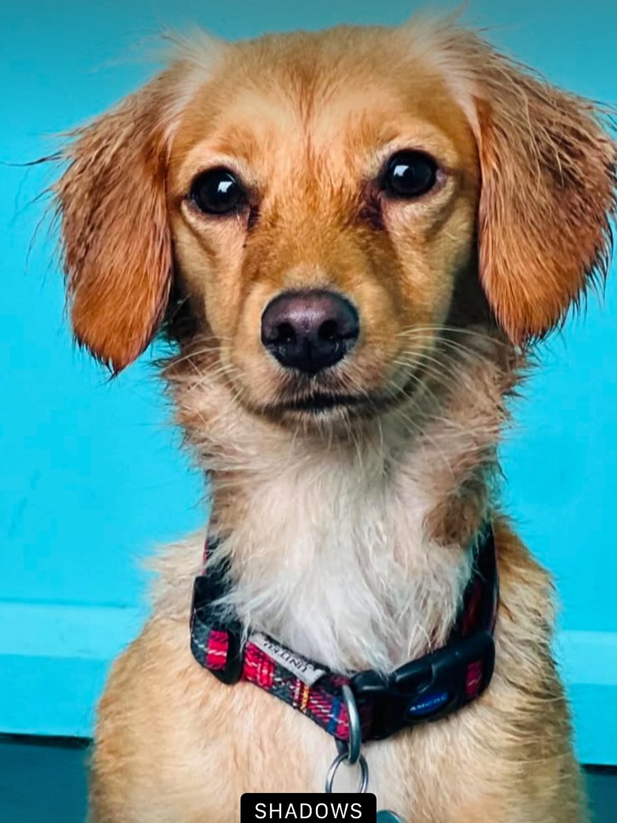 Karen Usher (@kazz_usher) on Twitter photo 