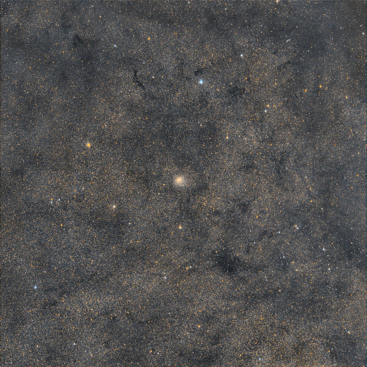 chucksastropho1's tweet image. There are over 100 billion stars in our Milky Way Galaxy, so I pointed my telescope at a very dense part of it.  NGC 6553 (globular cluster) is at the center of this picture.   

Celestron RASA telescope
ZWO ASI533MC color camera,
Antlia L-Filter
Starfront Observatories, TX