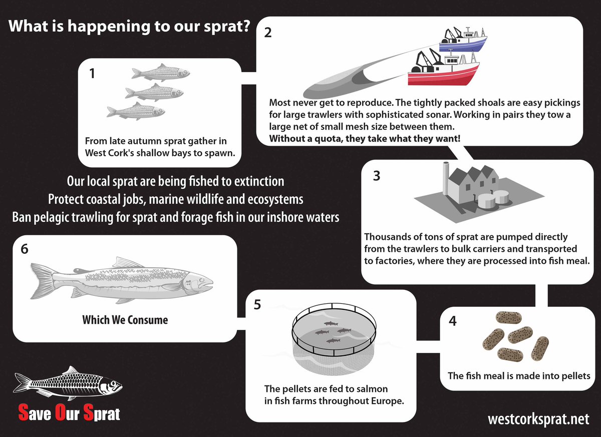 CourtmacAngling tweet media