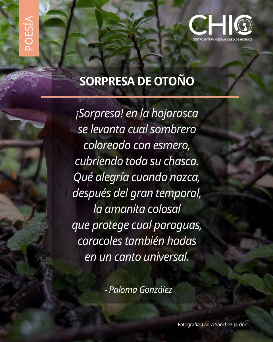 Durante la 3ra Conferencia Internacional CHIC, se realizó un taller de poesía biocultural, dirigido por el Dr. Ramiro Bustamante, que permitió a la comunidad de Puerto Williams crear décimas sobre temáticas de la austral ciudad.
#centrosanid