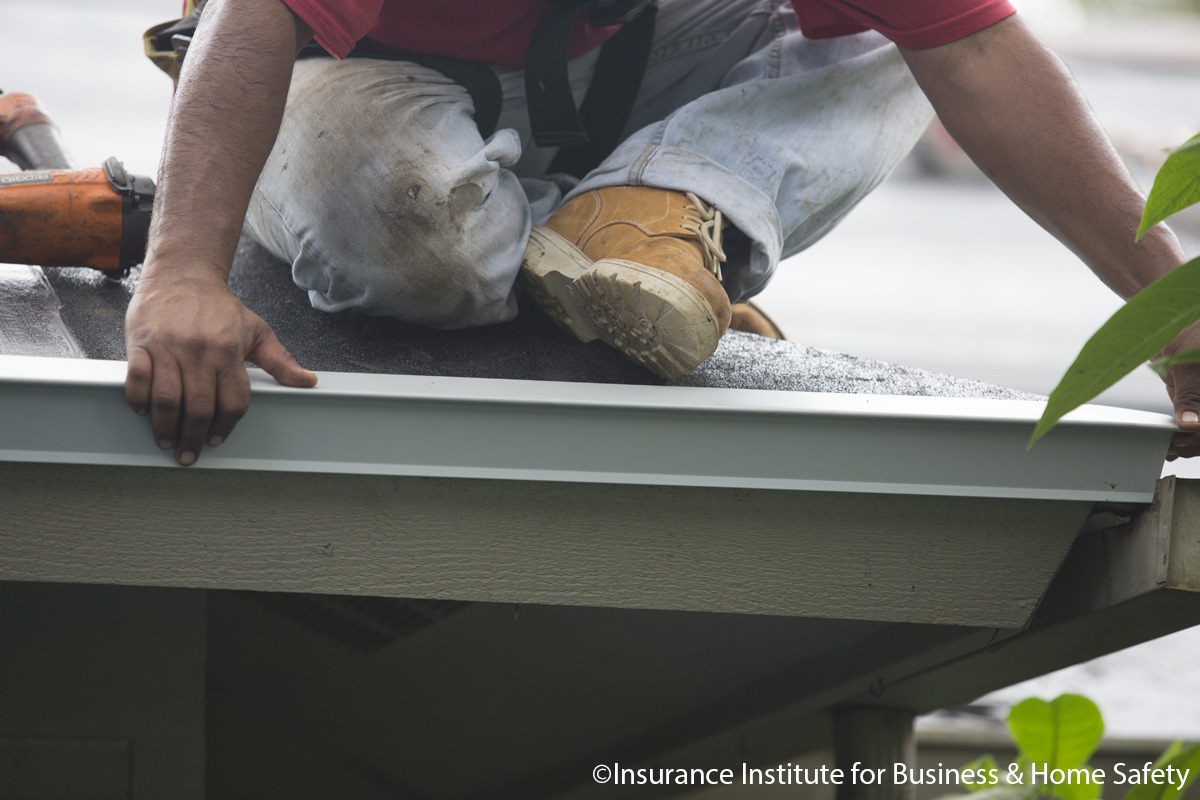 Josh Morgerman tweet media