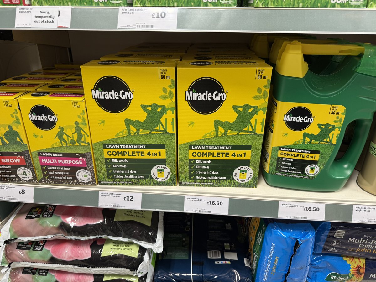 諏訪湖先輩？！