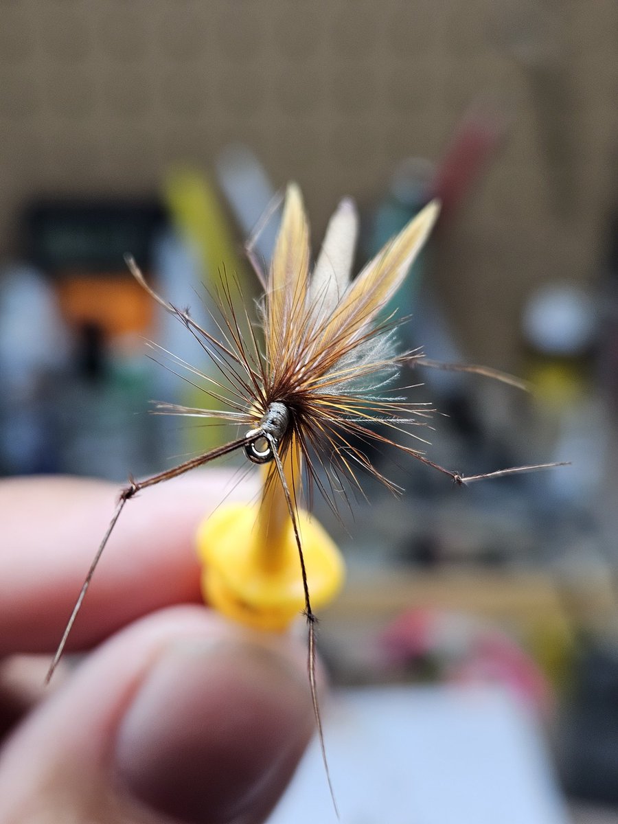 Robster22 tweet media