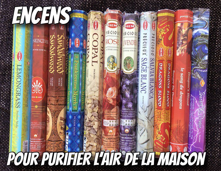 pres_reine's tweet image. Désinfecter plus aussi.  Encens 2 x par jour. Diffuseur d’huile essentielle 2 x par jour.