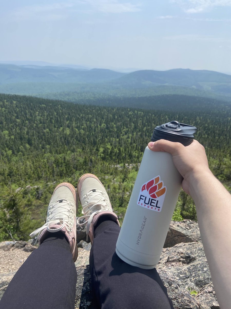 Fuel Esports is reaching new heights this summer