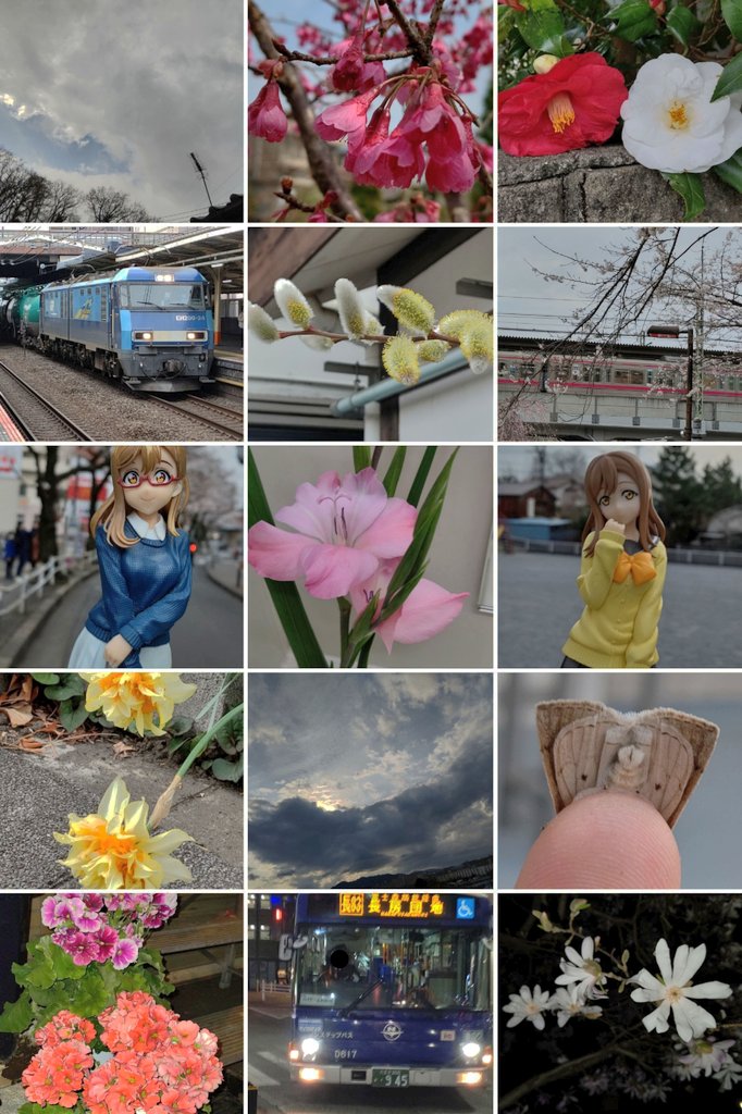 Google先生が作った、丸ちゃんと或る早春の日のコラージュ。

#国木田花丸 

#空 #雲 #カンヒザクラ #椿
#中央本線 #西八王子駅 
　#貨物列車 #EH200
#ネコヤナギ 
#京王線 #高尾駅 
#グラジオラス ？
#八重咲き水仙 #夕日 #蛾
#カランコエ #西東京バス 
#シデコブシ