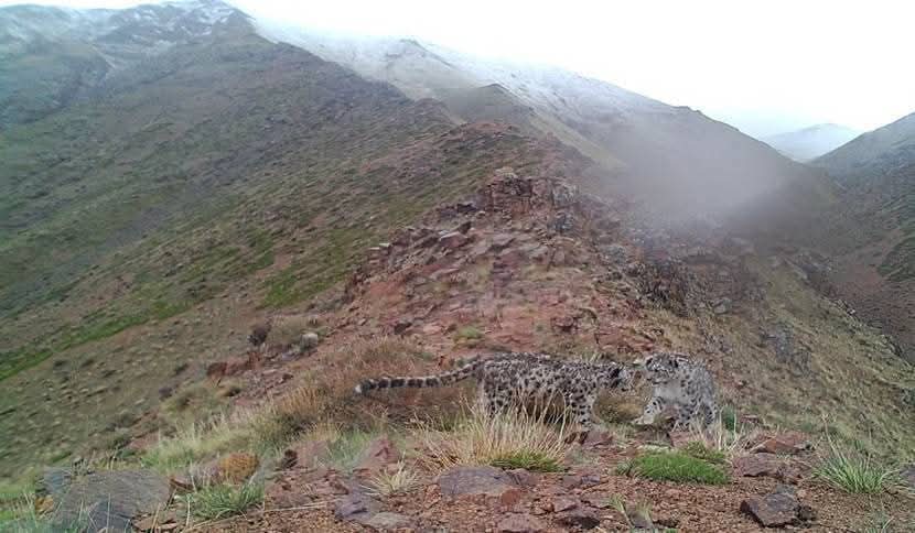 Өглөөний мэнд ээ.
Их Богдын нуруунд.
Баянхонгор аймаг.
Юу харсанаа бичээрэй.