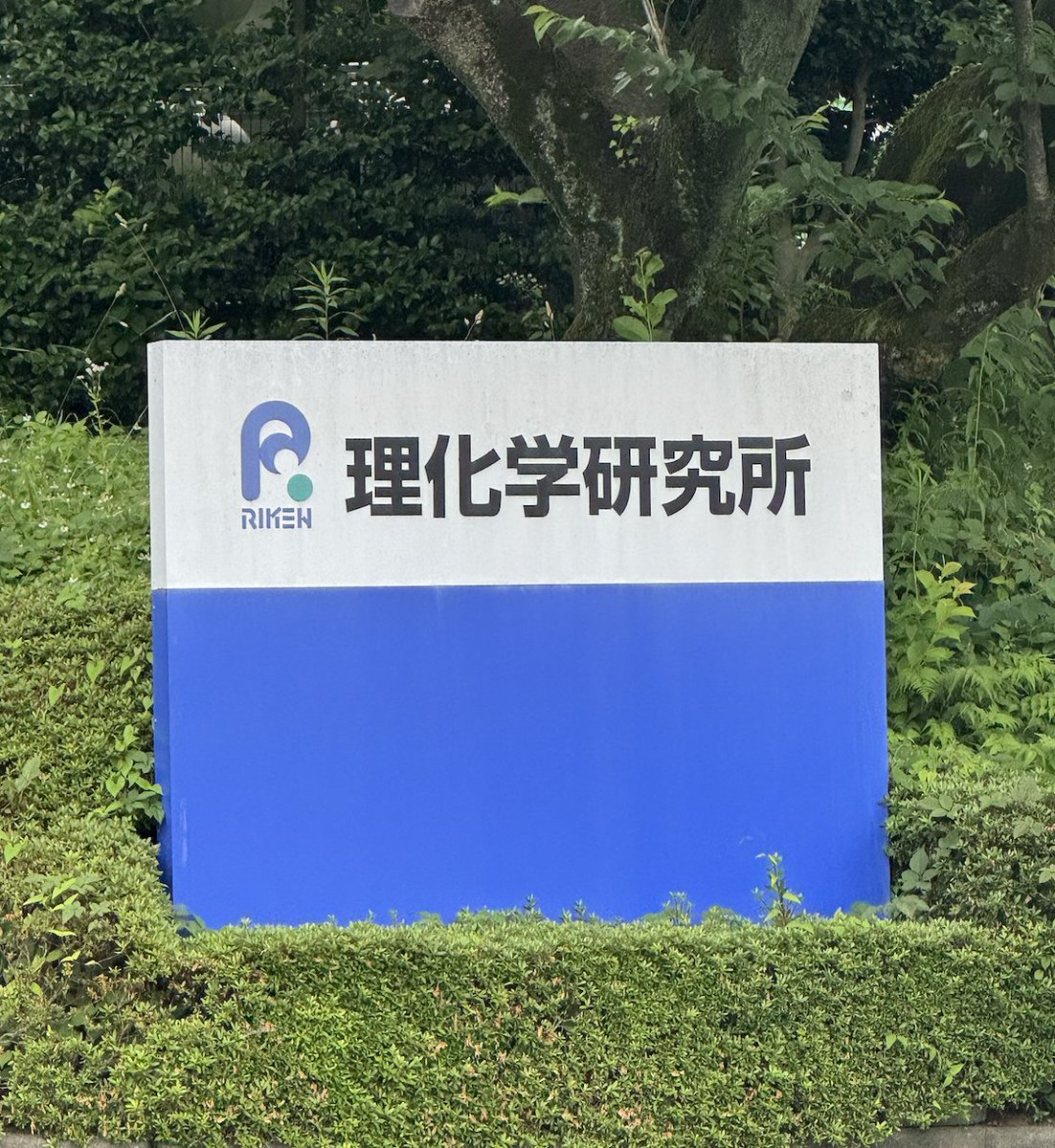 Gagan_Jhajj_'s tweet image. Just arrived at RIKEN 🇯🇵 for the #cbs_summer program. Looking forward to meeting the other interns and to get started today! 🧠