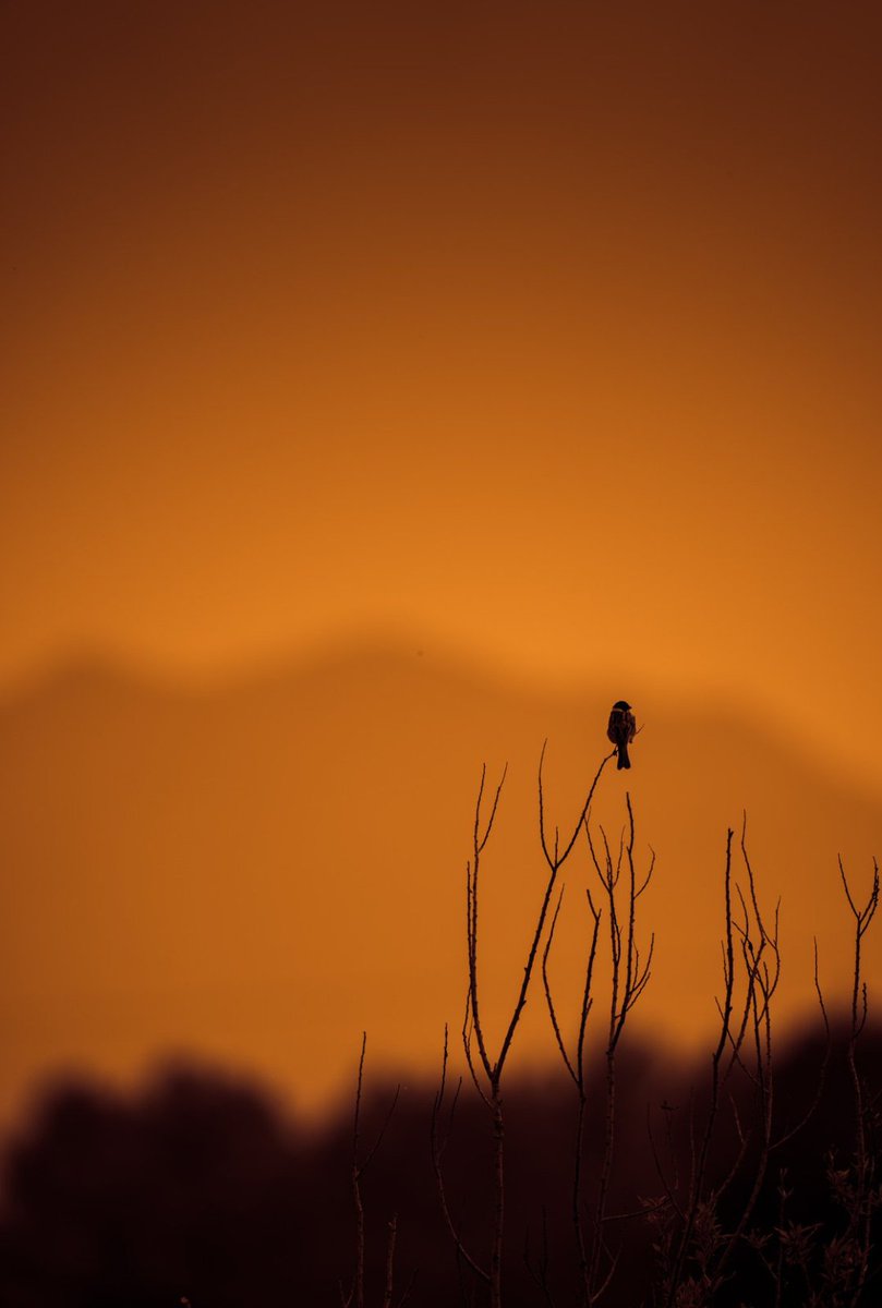 Nos pasamos la vida esperando que pase algo y lo único que pasa es la vida

🖋️Bob Marley 
📷web