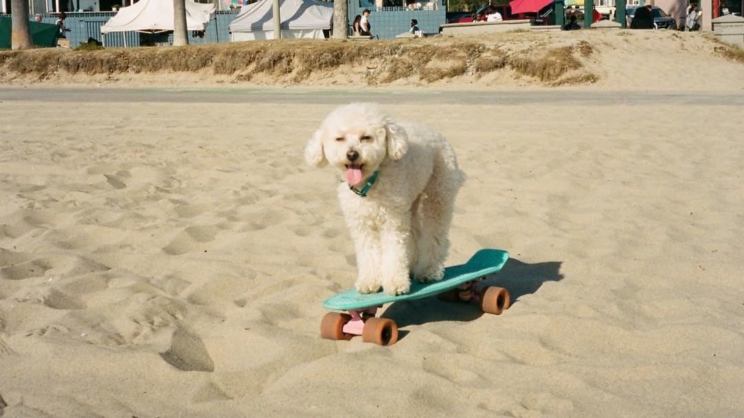 —  Boracay photo dump from the past 2 days.