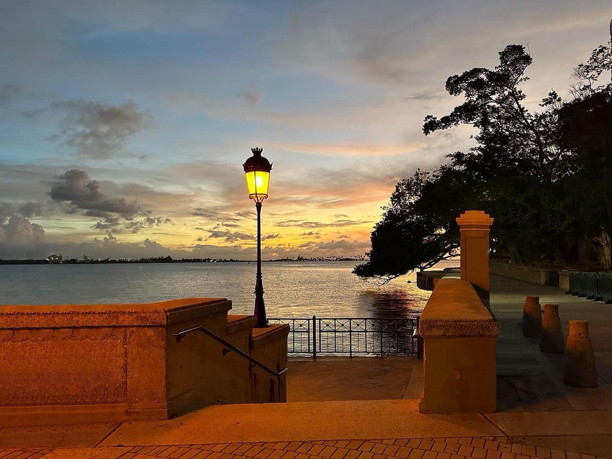 La luz de la última hora del día…